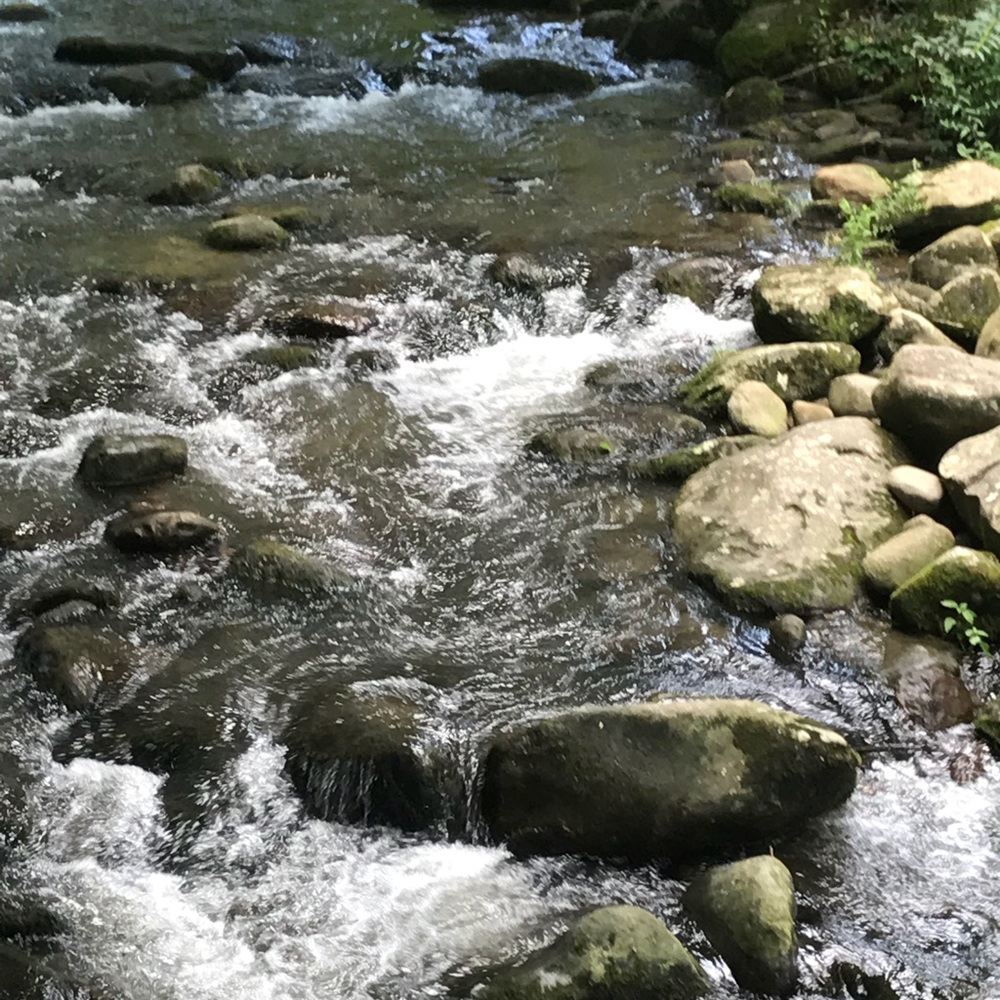 Meet your Posher, Shalawn